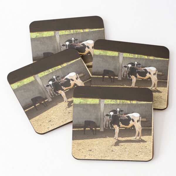 Item preview, some calves on the farm designed and sold by felipequeiroz.