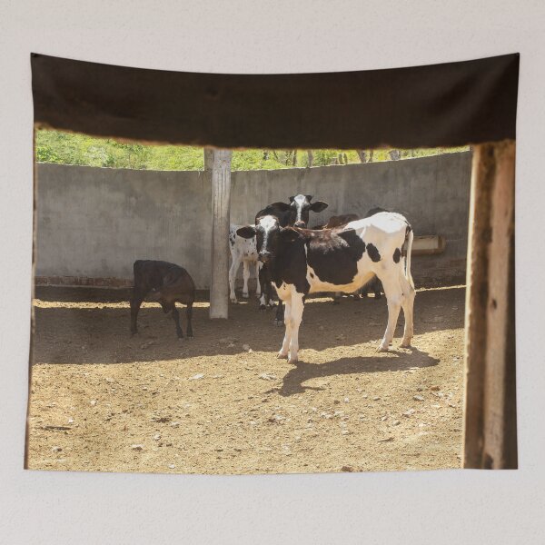 Item preview, some calves on the farm designed and sold by felipequeiroz.