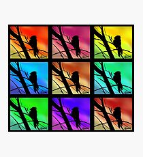 Andy Warhol Inspired Birds Photographic Print