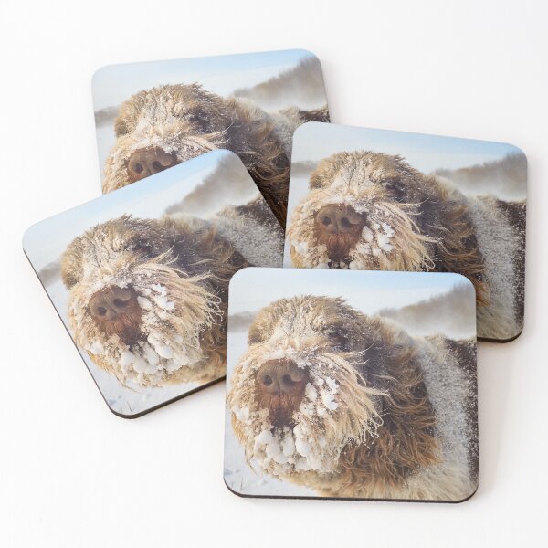 Item preview, Spinone Snow Business – Brown Roan Winter Fun by heidiannemorris © designed and sold by FOLK ART FUSION by heidiannemorris.