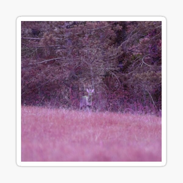Rencontre au sommet Sticker