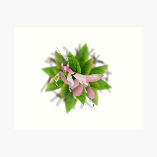 Item preview, Orchid Mantis on Green designed and sold by Drift Woad.