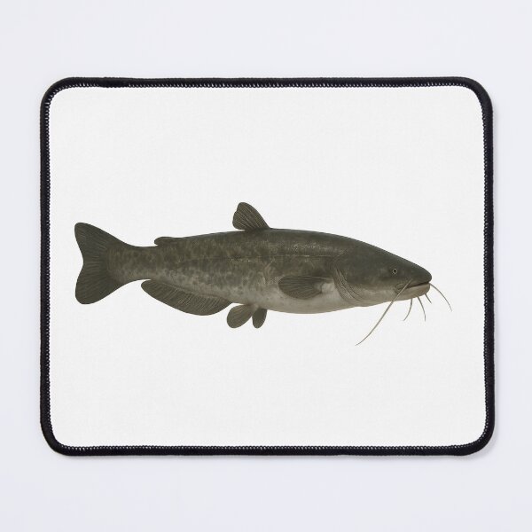 Item preview, Catfish designed and sold by MPAlex.