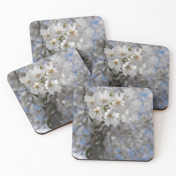 Item preview, white Cherry Blossoms designed and sold by D.P.R. Photography.