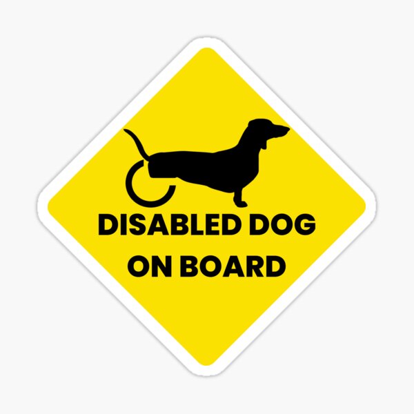 Item preview, Disabled Dog on Board IVDD Design designed and sold by Indie-On-Wheelz.