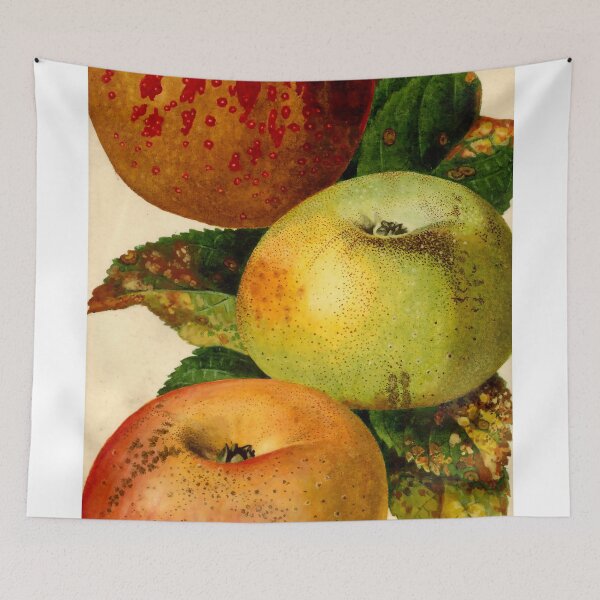 Item preview, Vintage Malus domestica Print from USDA Pomological Watercolors designed and sold by Douglas E. Welch Design and Photography.