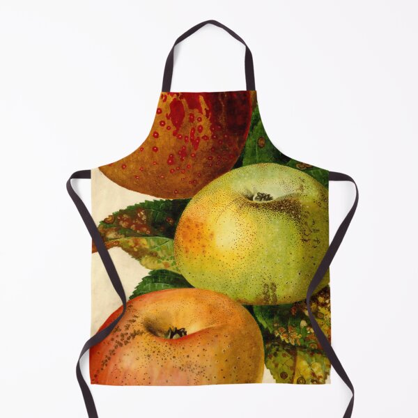 Item preview, Vintage Malus domestica Print from USDA Pomological Watercolors designed and sold by Douglas E. Welch Design and Photography.