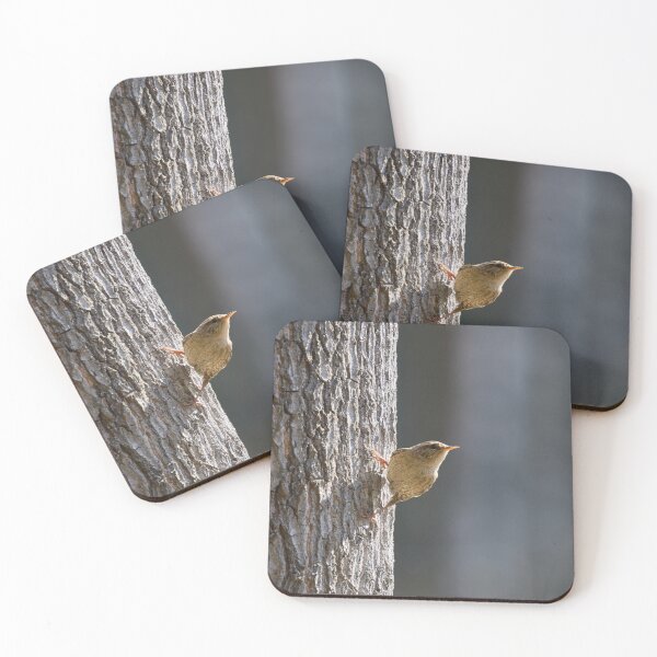 Item preview, Hanging from the pine. Eurasian wren designed and sold by Jouko Lehto Photography.