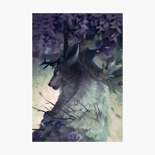 quiet Photographic Print