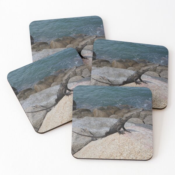 Item preview, Iguana on the rocks designed and sold by RDLT.
