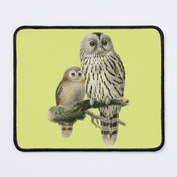 Item preview, Antique Ural Owl and Owlet Birds designed and sold by IrisAndIvy.