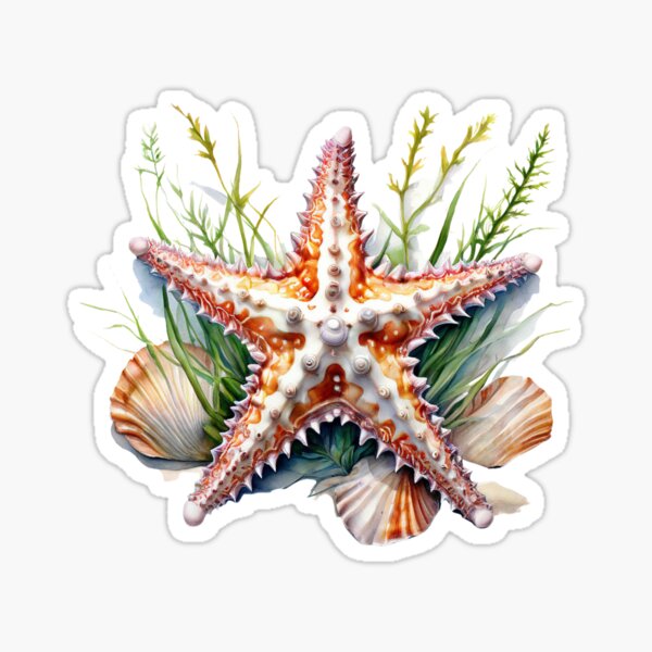 Item preview, Sea Star, Starfish with shells designed and sold by GrifonJ.
