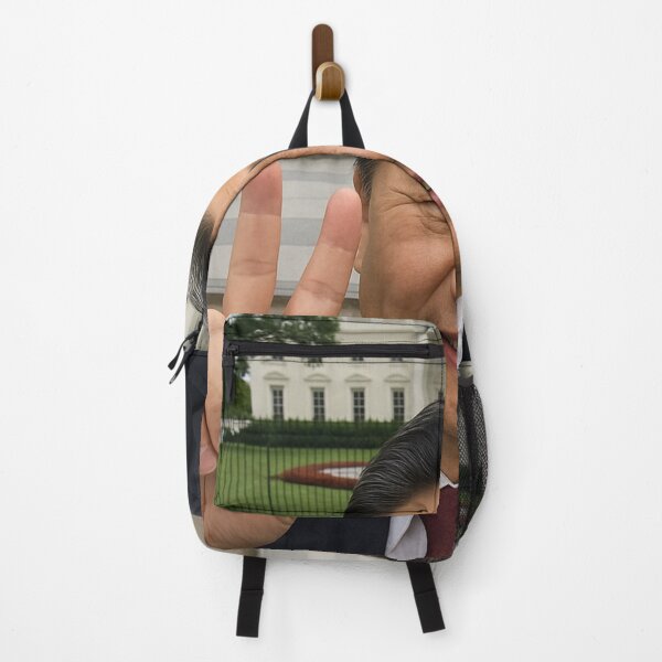 Item preview, Xi Jinping Selfie – Peace Sign in Front of White House designed and sold by Aryabek.