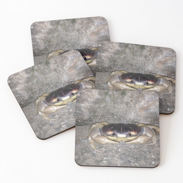 Item preview, Crab eyes designed and sold by RDLT.