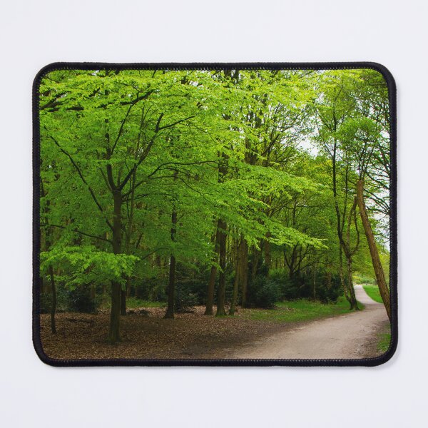 Item preview, At last green beechtrees again designed and sold by jchanders.