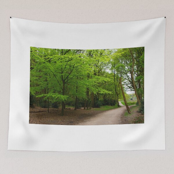 Item preview, At last green beechtrees again designed and sold by jchanders.