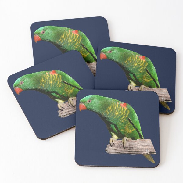 Artikelvorschau, Lorikeet entworfen und verkauft von quentinjlang.