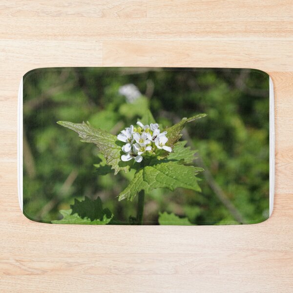 Item preview, Alliaria petiolata designed and sold by McFleur's Lens.
