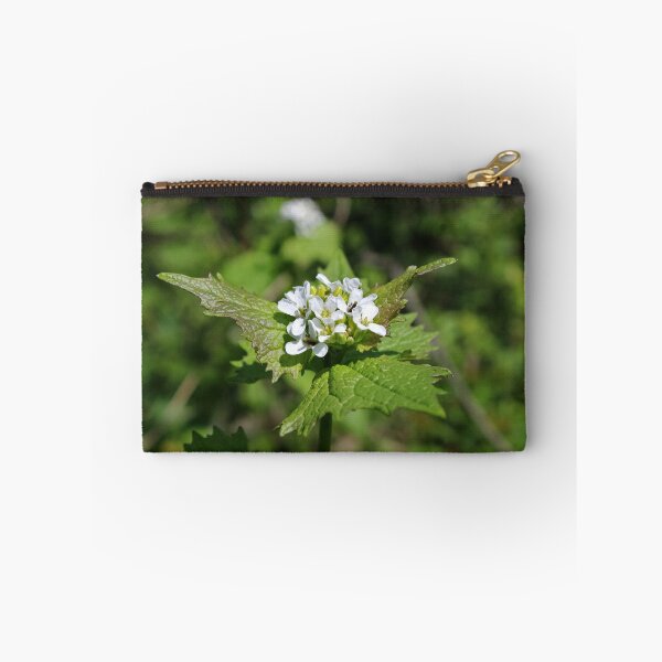 Item preview, Alliaria petiolata designed and sold by McFleur's Lens.