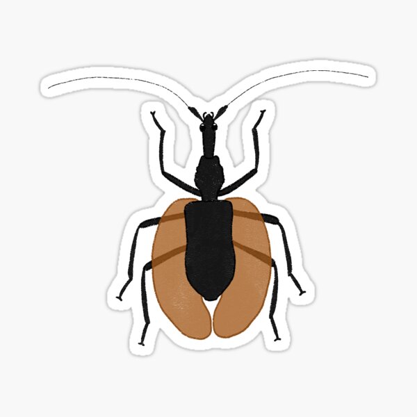 Item preview, Violin Beetle designed and sold by Arthropod-Mommy.