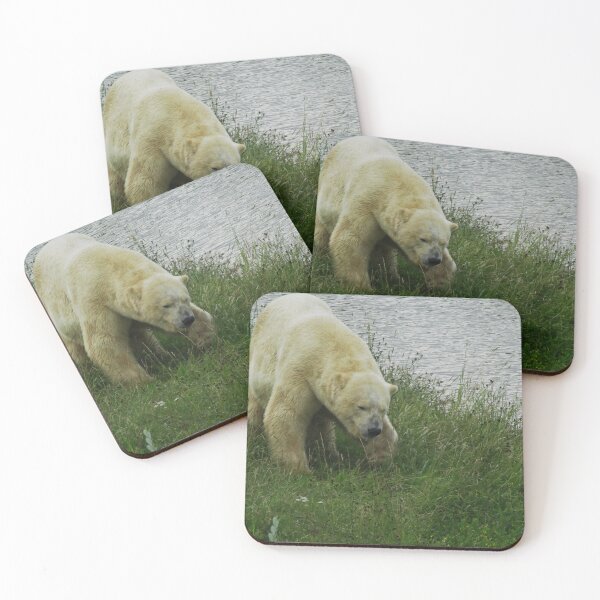 Item preview, Grumpy polar bear designed and sold by Jampsphotos.