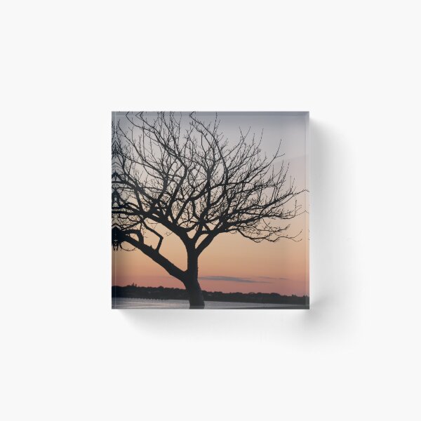 Item preview, The sunset and the tree designed and sold by Jmb67.