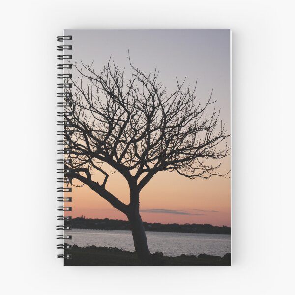 Aperçu de l'œuvre Le coucher de soleil et l'arbre créée et vendue par Jmb67.