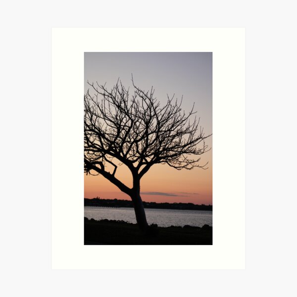 Item preview, The sunset and the tree designed and sold by Jmb67.