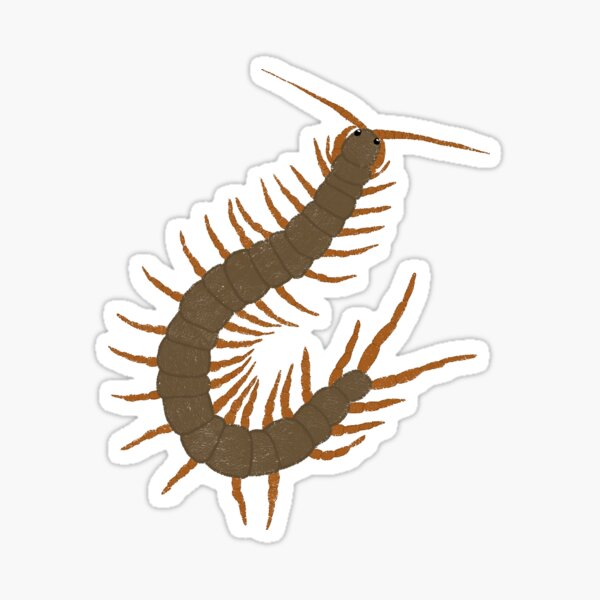 Item preview, Giant Centipede designed and sold by Arthropod-Mommy.
