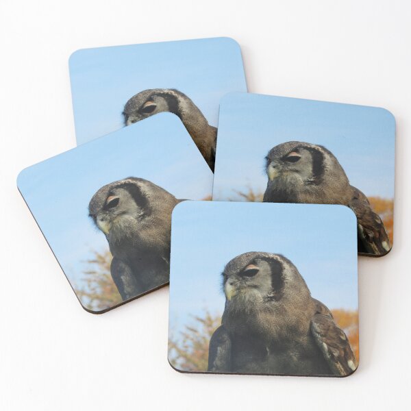 Item preview, verreaux's eagle-owl portrait designed and sold by Jampsphotos.