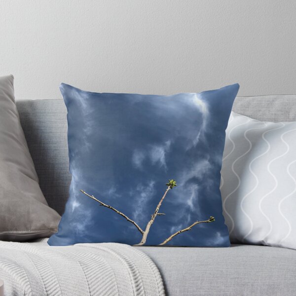 Item preview, Directions to heaven designed and sold by RDLT.