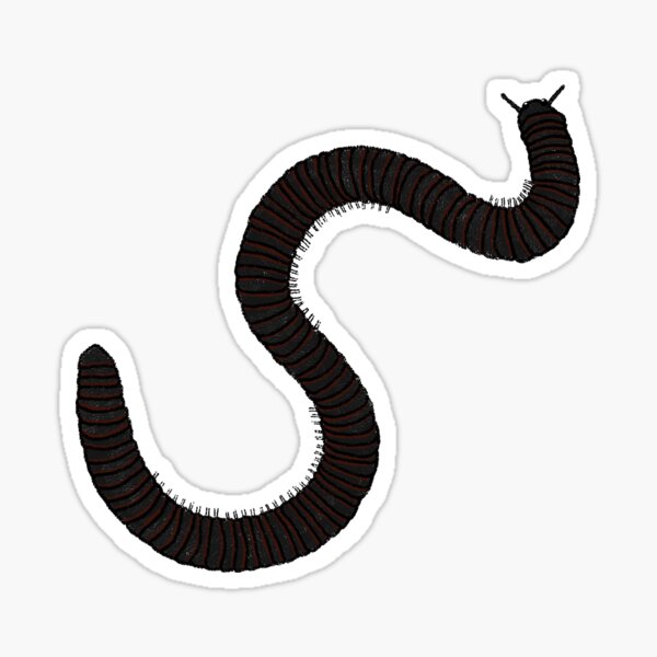 Item preview, American Giant Millipede  designed and sold by Arthropod-Mommy.