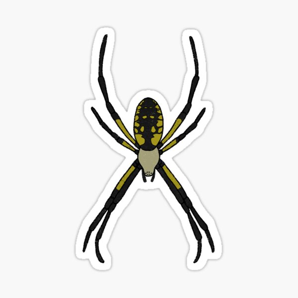 Item preview, Yellow Garden Spider designed and sold by Arthropod-Mommy.