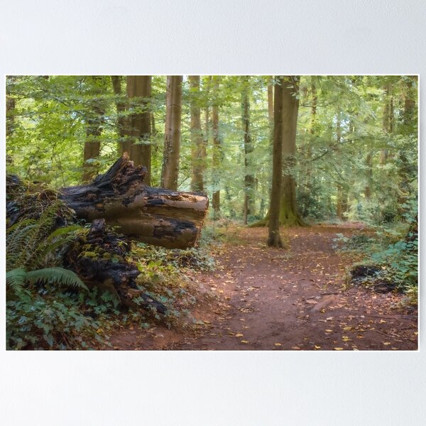 Item preview, Leafy Woodland Path designed and sold by Christine Lake.