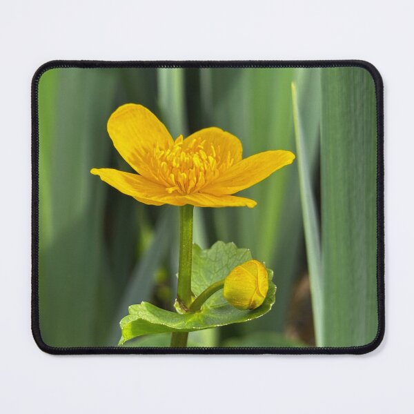 Item preview, Marsh marigold designed and sold by Tizz07.