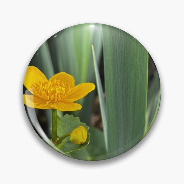 Item preview, Marsh marigold landscape designed and sold by Tizz07.