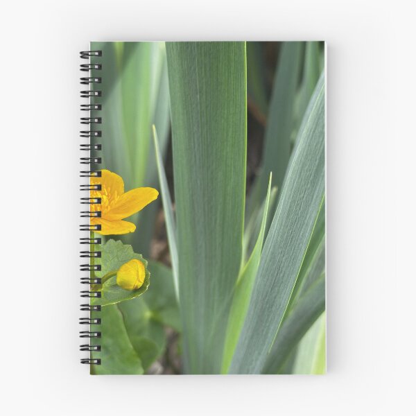 Item preview, Marsh marigold landscape designed and sold by Tizz07.
