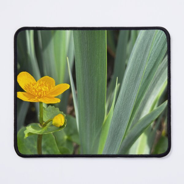 Item preview, Marsh marigold landscape designed and sold by Tizz07.