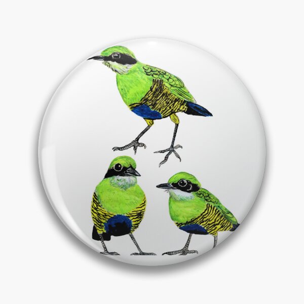 Item preview, Bar-bellied Pitta designed and sold by di-Vera-Rosati.