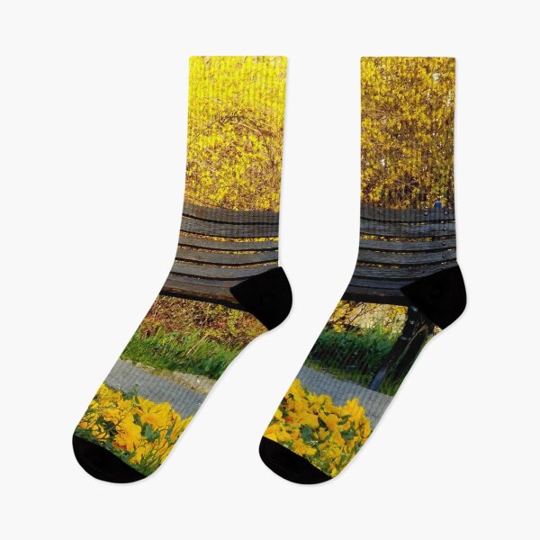 Item preview, Spring Whispers – Empty Bench in a Yellow Blooming Paradise designed and sold by branaghbel.