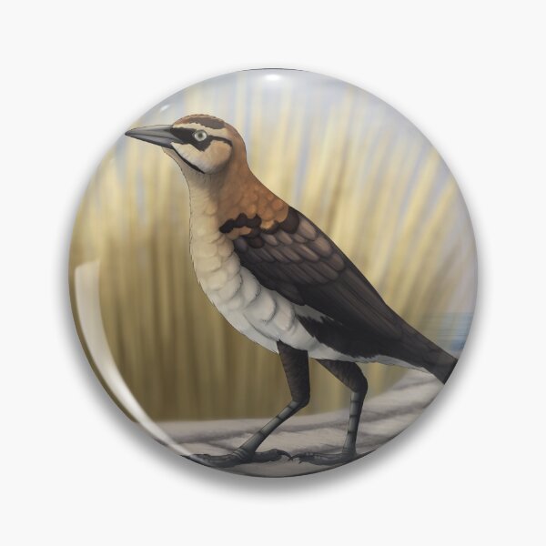 Item preview, Boat Tailed Grackle designed and sold by DragonArtist15.