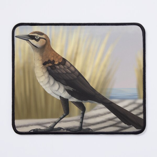 Item preview, Boat Tailed Grackle designed and sold by DragonArtist15.