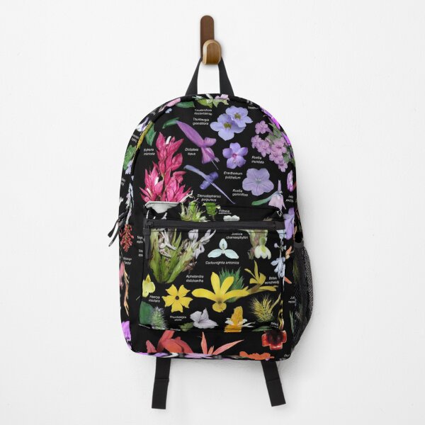 Item preview, Acanthaceae of Costa Rica designed and sold by Ricardo Kriebel.