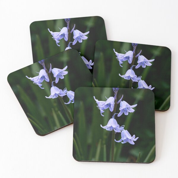 Item preview, Bluebell Macro designed and sold by Tom McPherson Photography.