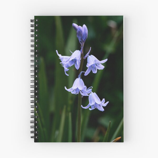 Item preview, Bluebell Macro designed and sold by Tom McPherson Photography.