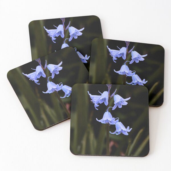 Item preview, Bluebell Macro designed and sold by Tom McPherson Photography.