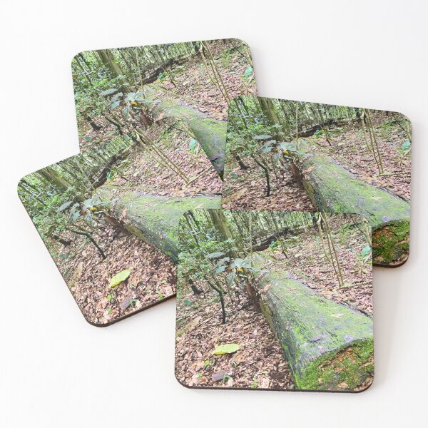 Item preview, Wingham Brush designed and sold by Margo Humphries.