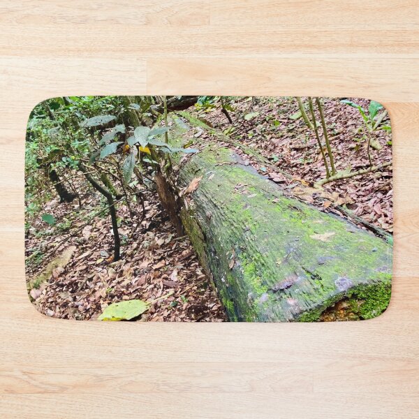 Item preview, Wingham Brush designed and sold by Margo Humphries.
