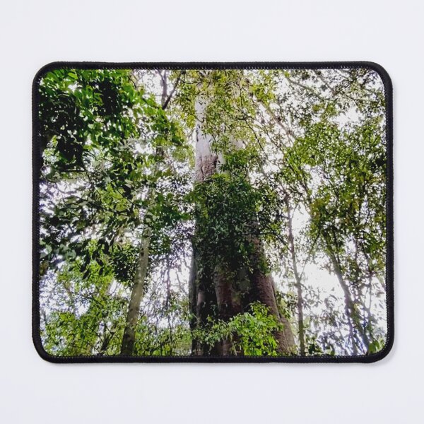 Item preview, Wingham Brush - Giant Fig designed and sold by Margo Humphries.