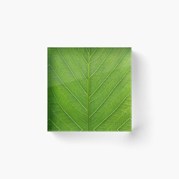 Item preview, Fresh Green Leaf Close Up designed and sold by Green-Anchor.